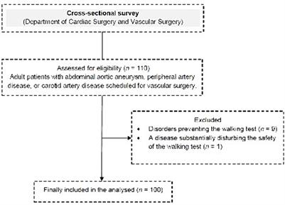 Timed Up and Go test score and factors associated with a moderate-to-high risk of future falls in patients scheduled for vascular surgeries—a cross-sectional study